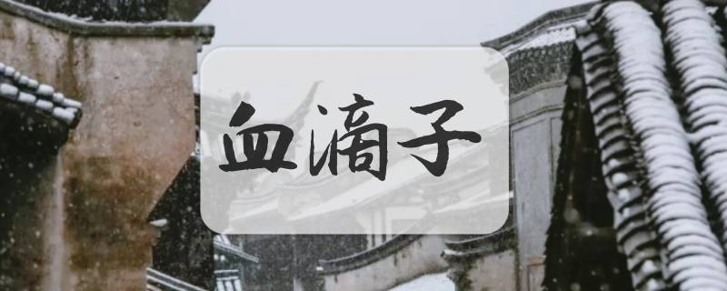 血滴子是什么