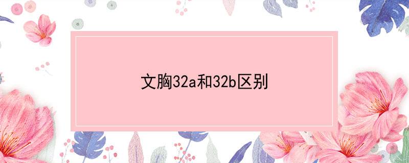 文胸32a和32b区别