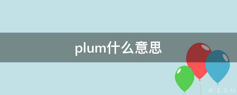 plum什么意思