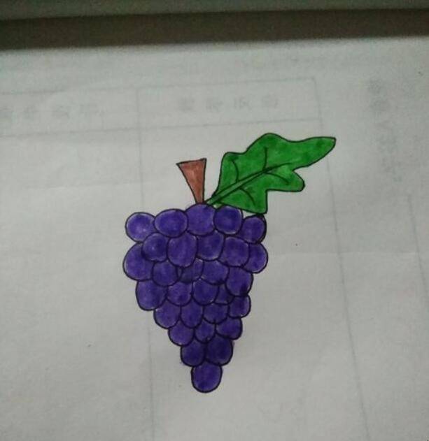 葡萄简笔画画法是什么
