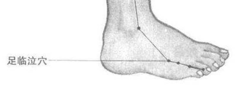 足臨泣準確位置圖和作用