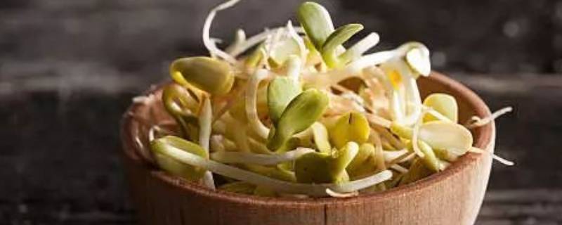 发芽的豌豆能吃吗带芽带豆