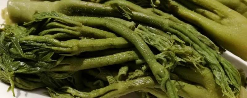 野菜刺嫩芽怎麼做好吃(刺嫩芽的10種做法)