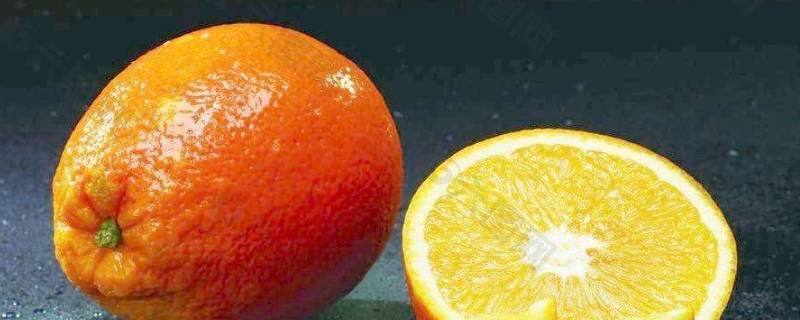 橙子能放多久