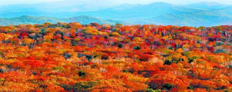 五花山在哪