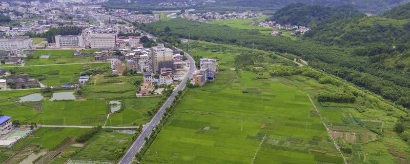 蒲田鎮是哪個省