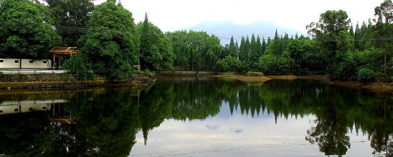 剑南春森林公园图片