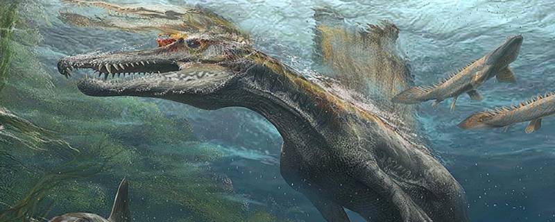 首页 百科达人1,形态特征:海王龙是白垩纪海中顶级的捕食者,它的特征