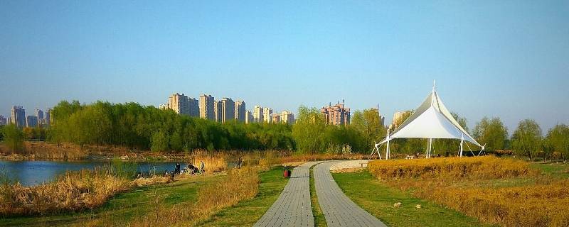 2,七星國家溼地公園:位於沈北新區西北部,跨黃家,石佛兩個街道,佔地1