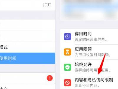 苹果ipad如何将游戏隐藏