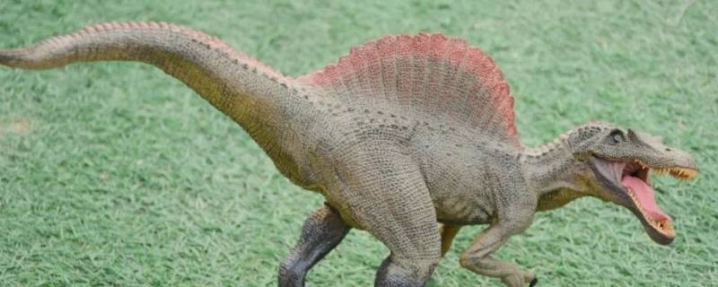 恐龙的种类有肉食龙钟敏类,原蜥脚次亚目,蜥脚次亚目,角龙亚目,鸟脚