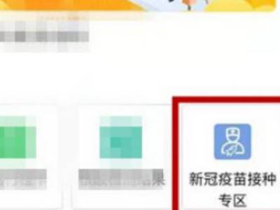 疫苗查询批号网址_疫苗查询批号系统_疫苗批号查询网