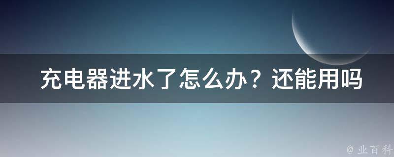  充电器进水了怎么办？还能用吗？全面解析与解决方案