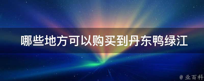  哪些地方可以购买到丹东鸭绿江特产？