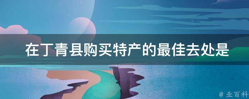  在丁青县购买特产的最佳去处是哪里？