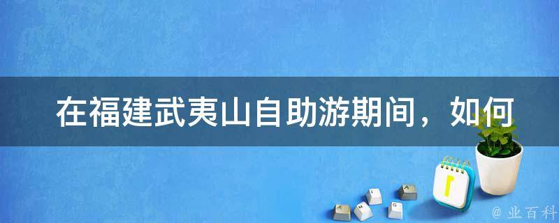  在福建武夷山自助游期间，如何选择合适的住宿和交通方式？