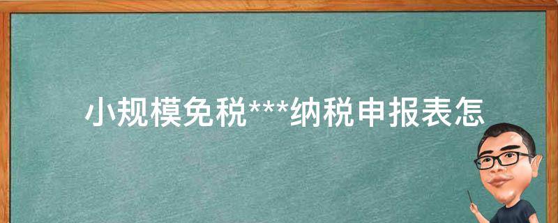  小规模免税***纳税申报表怎么填？详细步骤与注意事项