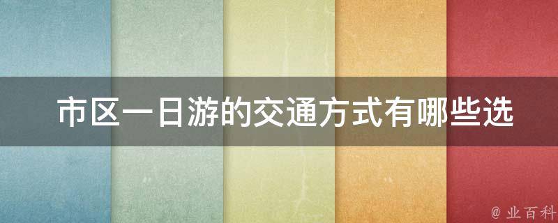  市区一日游的交通方式有哪些选择？