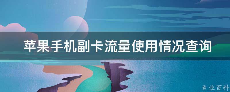  苹果手机副卡流量使用情况查询：轻松掌握副卡流量动态