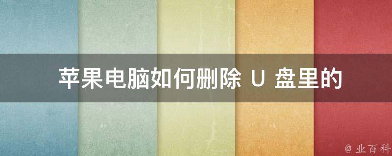  苹果电脑如何删除 U 盘里的文件：操作指南与注意事项