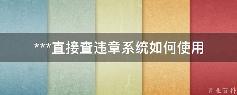 ***直接查违章系统_如何使用便捷快速查询车辆违章记录