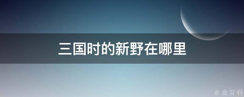 三国时的新野在哪里 