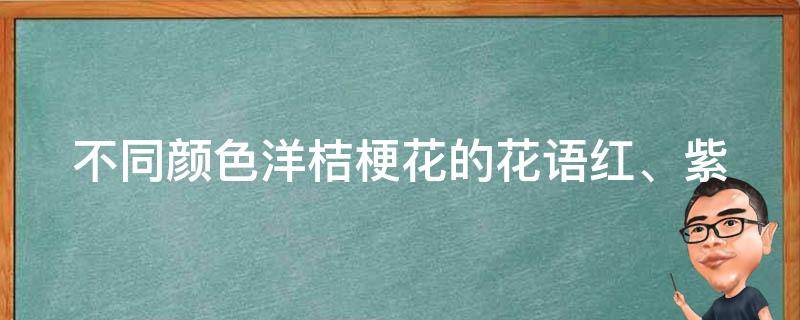 不同颜色洋桔梗花的花语_红、紫、白、粉、蓝等多种颜色花语大揭秘