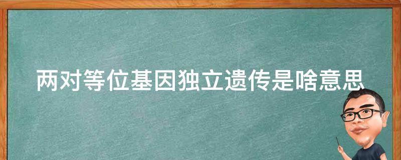 两对等位基因独立遗传是啥意思 