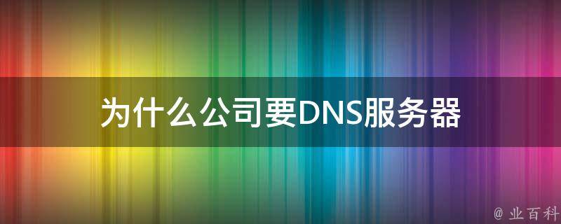 为什么公司要DNS服务器 