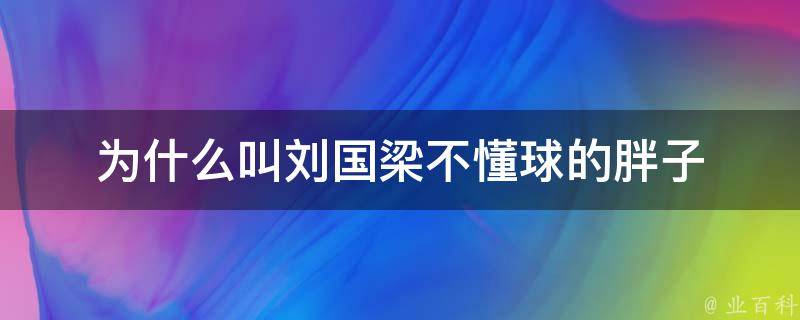 为什么叫刘国梁不懂球的胖子 