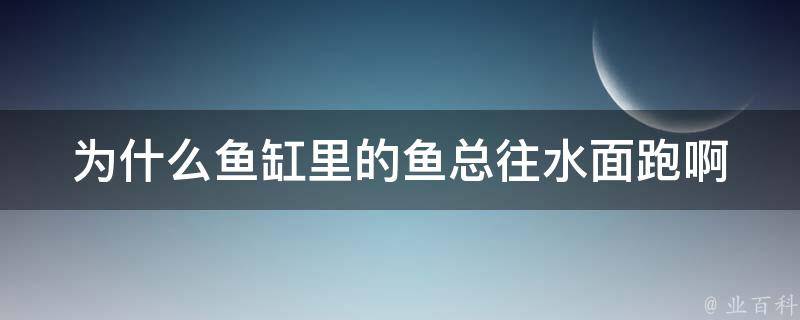 为什么鱼缸里的鱼总往水面跑啊 