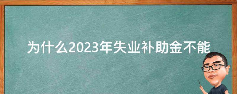 为什么2023年失业补助金不能申请_政策解读