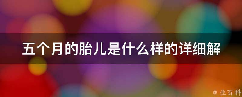 五个月的胎儿是什么样的_详细解读胎儿发育过程，了解胎儿五官、身体特征等。