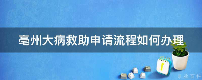 亳州大病救助申请流程_如何办理申请手续