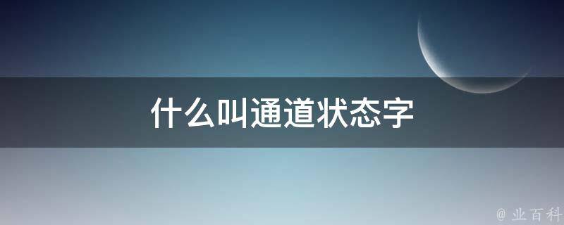 什么叫通道状态字 