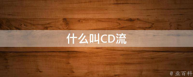 什么叫CD流 