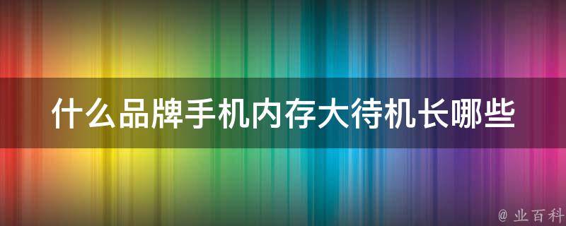 什么品牌手机内存大待机长(哪些手机值得购买)