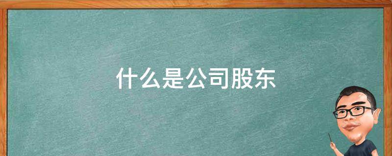 上市公司股东可以申请美国L1签证吗 (上市公司股东减持股票规则)