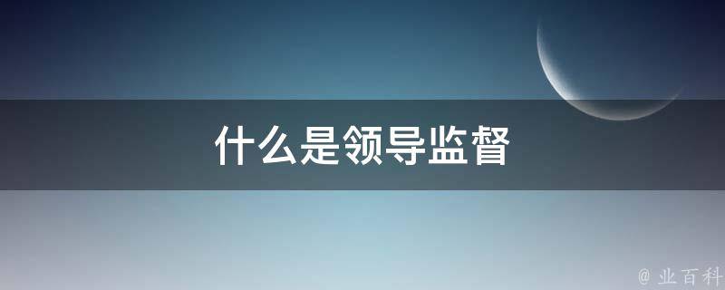 什么是领导监督 