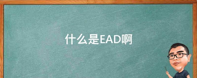 什么是EAD啊 