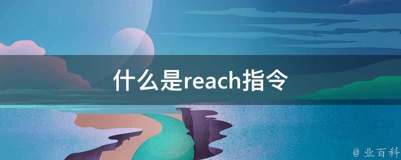 什么是reach指令 