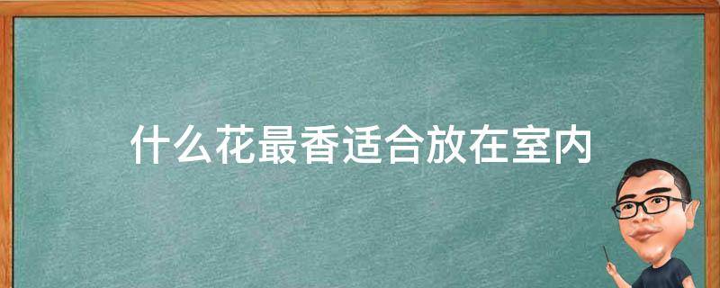 什么花最香适合放在室内 