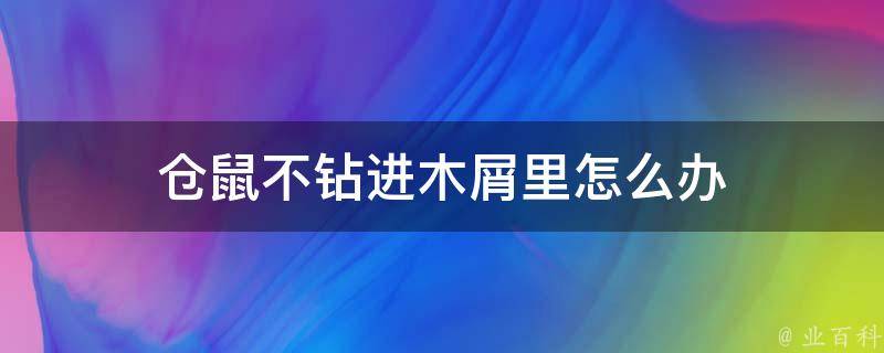 仓鼠不钻进木屑里怎么办 