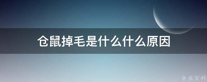 仓鼠掉毛是什么什么原因 