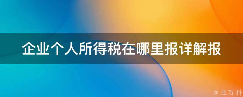 企业个人所得税在哪里报_详解**流程和注意事项