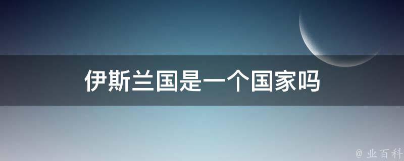 伊斯兰国是一个国家吗 