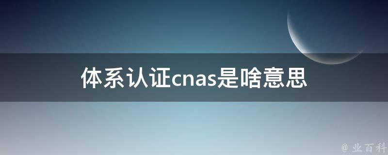 体系认证cnas是啥意思 