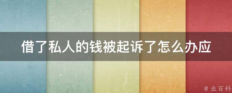 借了私人的钱被起诉了怎么办_应该如何应对法律诉讼