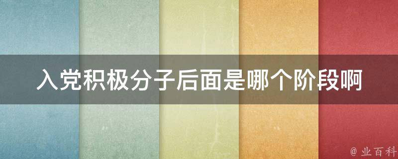 入党积极分子后面是哪个阶段啊 