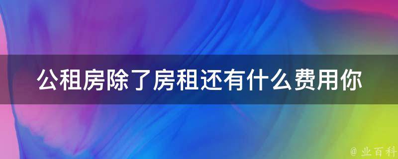 公租房除了房租还有什么费用(你需要知道的五项费用)